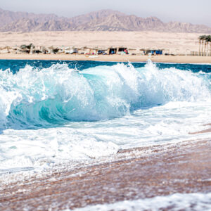 פאנל - קריעת ים סוף 2.0